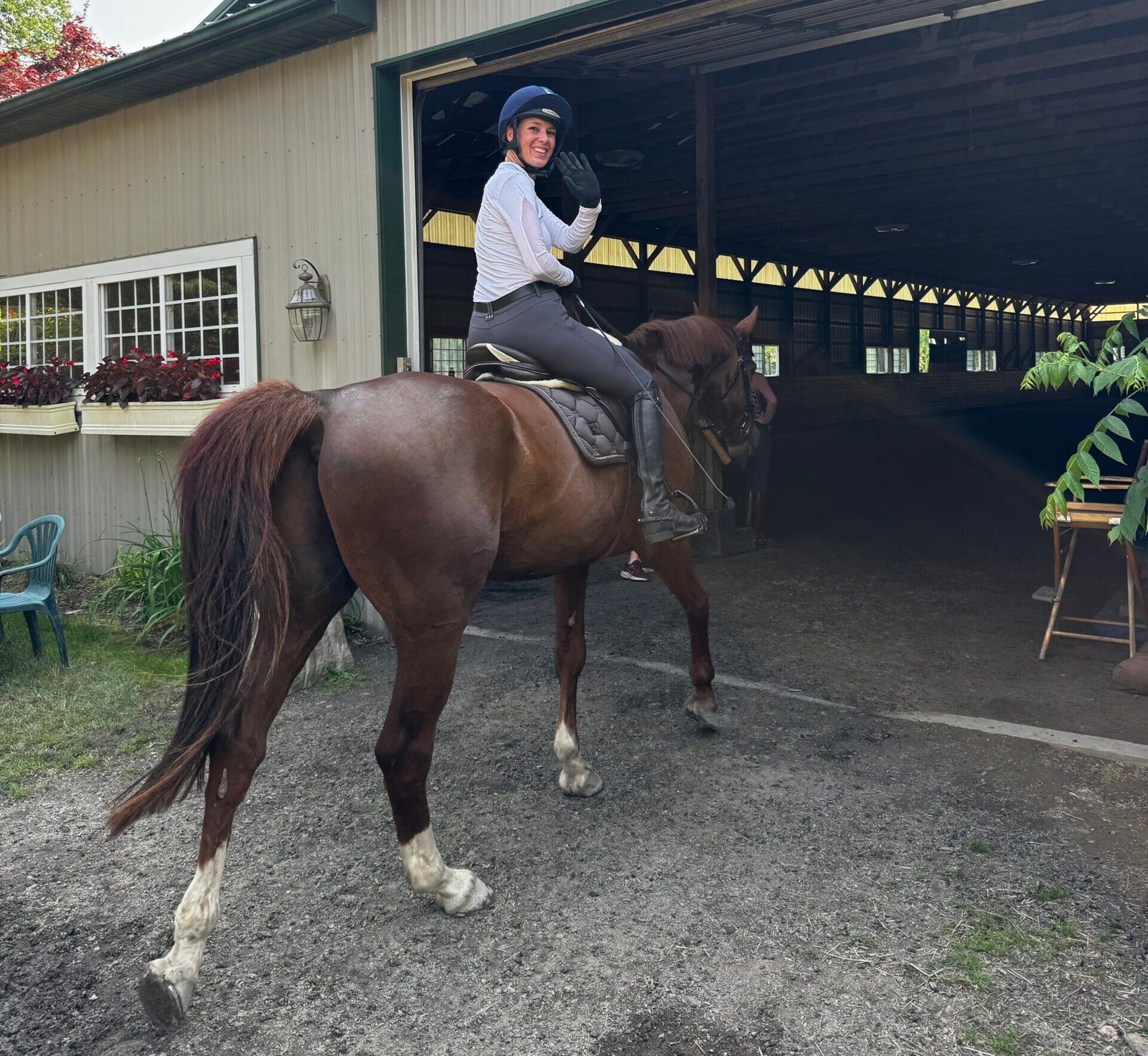 horse Domme